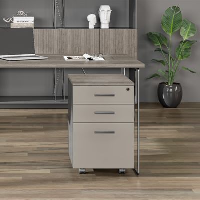 Flexible And Silent Mobile Board Activity Cabinet For Office Document And Data Storage, Low Cabinet With Lock, Staff Desk Side Office Cabinet