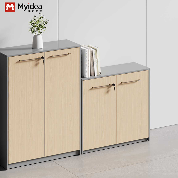 Unique File Cabinet Office Foshan Factory Direct Supply Lock the Cabinet with a Key