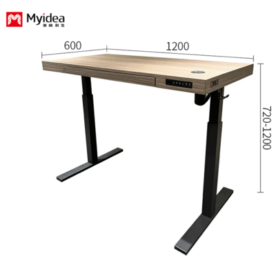 Escritorio Ejecutivo Sencillo y Cómodo, Escritorio Elevable con Motor Silencioso, Diseño Estable y Multifuncional para Uso en Oficina