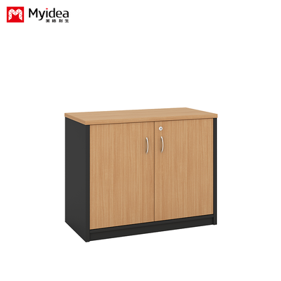 Dos puertas con llave, gran capacidad de archivos de gabinete, montaje en la pared de gabinete bajo, personalizable clasificado archivos de gabinete
